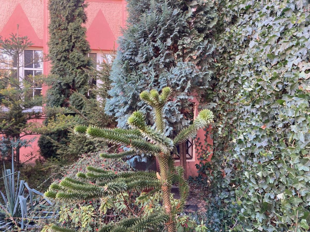 Pokoj Miejski Grünberg Exterior foto